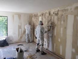 Trusted Raoul, GA Mold Removal Experts